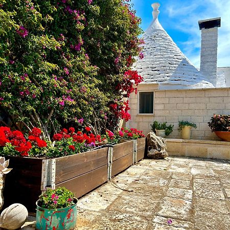 세글리에 메사피카 Trullo Elisabetta 빌라 외부 사진